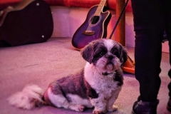 FB_IMG_1738495184171